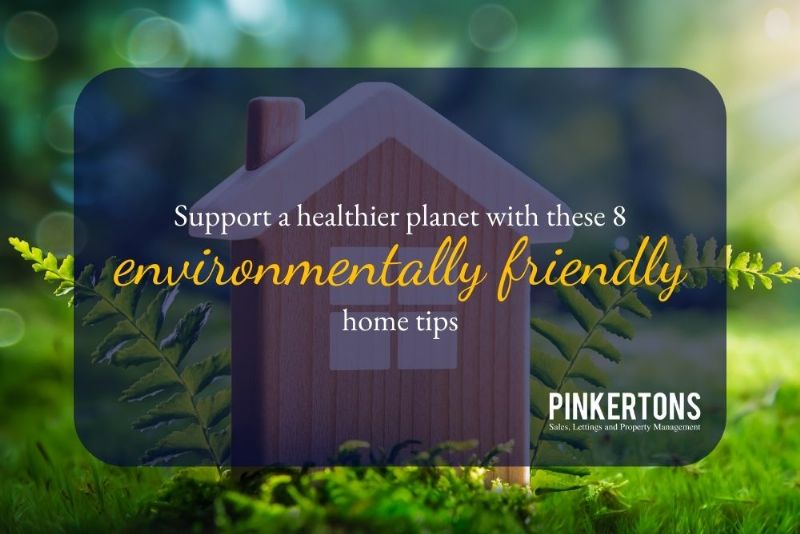 Support a healthier planet with these 8 environmentally friendly home tips